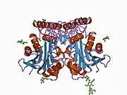 1apy: HUMAN ASPARTYLGLUCOSAMINIDASE