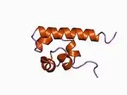 1b0x: THE CRYSTAL STRUCTURE OF AN EPH RECEPTOR SAM DOMAIN REVEALS A MECHANISM FOR MODULAR DIMERIZATION.