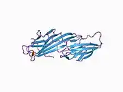 1bw8: MU2 ADAPTIN SUBUNIT (AP50) OF AP2 ADAPTOR (SECOND DOMAIN), COMPLEXED WITH EGFR INTERNALIZATION PEPTIDE FYRALM