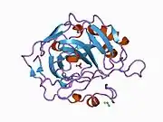 1can: CRYSTALLOGRAPHIC STUDIES OF THE BINDING OF PROTONATED AND UNPROTONATED INHIBITORS TO CARBONIC ANHYDRASE USING HYDROGEN SULPHIDE AND NITRATE ANIONS