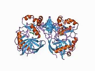 PDB 1ckm EBI