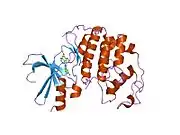 1di8: THE STRUCTURE OF CYCLIN-DEPENDENT KINASE 2 (CDK2) IN COMPLEX WITH 4-[3-HYDROXYANILINO]-6,7-DIMETHOXYQUINAZOLINE