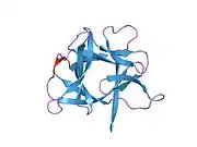 1hib: THE STRUCTURE OF AN INTERLEUKIN-1 BETA MUTANT WITH REDUCED BIOACTIVITY SHOWS MULTIPLE SUBTLE CHANGES IN CONFORMATION THAT AFFECT PROTEIN-PROTEIN RECOGNITION