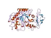 1hny: The structure of human pancreatic alpha-amylase at 1.8 angstroms resolution and comparisons with related enzymes