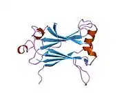 1lb5: TRAF6-RANK Complex