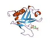 1mai: STRUCTURE OF THE PLECKSTRIN HOMOLOGY DOMAIN FROM PHOSPHOLIPASE C DELTA IN COMPLEX WITH INOSITOL TRISPHOSPHATE