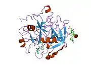 1o0d: Human Thrombin complexed with a d-Phe-Pro-Arg-type Inhibitor and a C-terminal Hirudin derived exo-site inhibitor