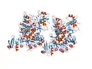 1o9l: SUCCINATE:COENZYME-A TRANSFERASE (PIG HEART)