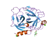 1spj: STRUCTURE OF MATURE HUMAN TISSUE KALLIKREIN (HUMAN KALLIKREIN 1 OR KLK1) AT 1.70 ANGSTROM RESOLUTION WITH VACANT ACTIVE SITE