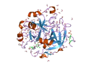 1t4v: Crystal Structure Analysis of a novel Oxyguanidine bound to Thrombin