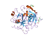 1twx: Crystal structure of the thrombin mutant D221A/D222K