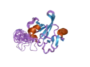 1v06: AXH DOMAIN OF THE TRANSCRIPTION FACTOR HBP1 FROM M.MUSCULUS