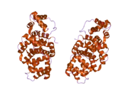 1w45: THE 2.5 ANGSTROEM STRUCTURE OF THE K16A MUTANT OF ANNEXIN A8, WHICH HAS AN INTACT N-TERMINUS.