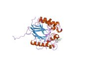 1war: RECOMBINANT HUMAN PURPLE ACID PHOSPHATASE EXPRESSED IN PICHIA PASTORIS