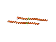 1wq6: The tetramer structure of the nervy homolgy two (NHR2) domain of AML1-ETO is critical for AML1-ETO'S activity