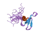 1wr7: Solution structure of the third WW domain of Nedd4-2