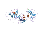 1wsp: Crystal structure of axin dix domain