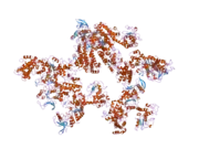 1y0v: Crystal structure of anthrax edema factor (EF) in complex with calmodulin and pyrophosphate