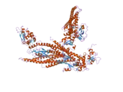 1y1u: Structure of unphosphorylated STAT5a