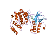 1yw2: Mutated Mus musculus p38 kinase (mp38)