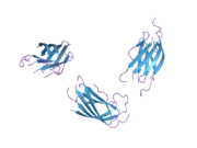 1yze: Crystal structure of the N-terminal domain of USP7/HAUSP.