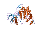 1z57: Crystal structure of human CLK1 in complex with 10Z-Hymenialdisine