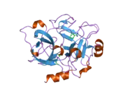 1zhp: Crystal Structure of the Catalytic Domain of Coagulation Factor XI in Complex with Benzamidine (S434A-T475A-K505 Mutant)