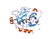 1zlr: Factor XI catalytic domain complexed with 2-guanidino-1-(4-(4,4,5,5-tetramethyl-1,3,2-dioxaborolan-2-yl)phenyl)ethyl nicotinate