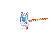 1zms: LMP1 Protein binds to TRAF3 as a structural CD40