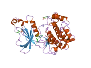 1zrz: Crystal Structure of the Catalytic Domain of Atypical Protein Kinase C-iota