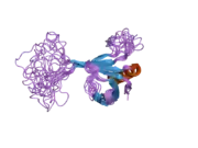 1zyi: Solution structure of ICLN, a multifunctional protein involved in regulatory mechanisms as different as cell volume regulation and rna splicing