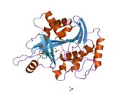 2a0y: Structure of human purine nucleoside phosphorylase H257D mutant