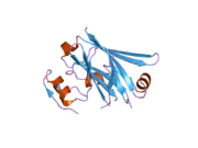 2a25: Crystal structure of Siah1 SBD bound to the peptide EKPAAVVAPITTG from SIP