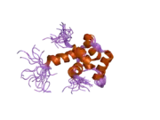 2a4j: Solution structure of the C-terminal domain (T94-Y172) of the human centrin 2 in complex with a 17 residues peptide (P1-XPC) from xeroderma pigmentosum group C protein