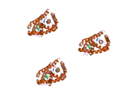 2abi: Crystal structure of the human mineralocorticoid receptor ligand-binding domain bound to deoxycorticosterone