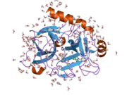 2anw: Expression, crystallization and three-dimensional structure of the catalytic domain of human plasma kallikrein: Implications for structure-based design of protease inhibitors