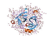 2any: Expression, Crystallization and the Three-dimensional Structure of the Catalytic Domain of Human Plasma Kallikrein: Implications for Structure-Based Design of Protease Inhibitors