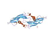 2ask: Structure of human Artemin