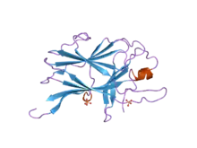 2bba: Crystal Structure and Thermodynamic Characterization of the EphB4 Receptor in Complex with an ephrin-B2 Antagonist Peptide Reveals the Determinants for Receptor Specificity