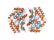 2bdu: X-Ray Structure of a Cytosolic 5'-Nucleotidase III from Mus Musculus MM.158936