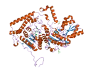 2bfb: REACTIVITY MODULATION OF HUMAN BRANCHED-CHAIN ALPHA-KETOACID DEHYDROGENASE BY AN INTERNAL MOLECULAR SWITCH