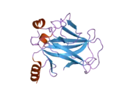 2biq: HUMAN P53 CORE DOMAIN MUTANT T123A-M133L-H168R-V203A-N239Y-R249S-N268D