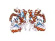 2boa: HUMAN PROCARBOXYPEPTIDASE A4.