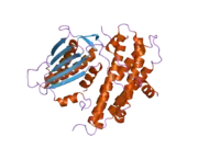 2btz: CRYSTAL STRUCTURES OF HUMAN PYRUVATE DEHYDROGENASE KINASE 2 CONTAINING PHYSIOLOGICAL AND SYNTHETIC LIGANDS