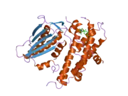 2bu5: CRYSTAL STRUCTURES OF HUMAN PYRUVATE DEHYDROGENASE KINASE 2 CONTAINING PHYSIOLOGICAL AND SYNTHETIC LIGANDS