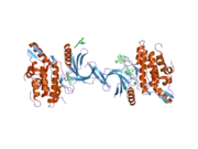 2buj: CRYSTAL STRUCTURE OF THE HUMAN SERINE-THREONINE KINASE 16 IN COMPLEX WITH STAUROSPORINE