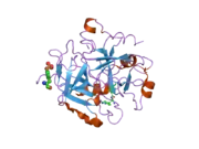 2bvr: HUMAN THROMBIN COMPLEXED WITH FRAGMENT-BASED SMALL MOLECULES OCCUPYING THE S1 POCKET