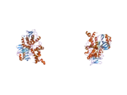 2bxs: HUMAN MONOAMINE OXIDASE A IN COMPLEX WITH CLORGYLINE, CRYSTAL FORM B