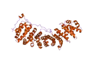 2c1m: NUP50:IMPORTIN-ALPHA COMPLEX