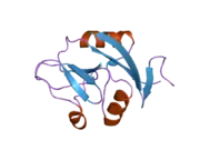 2c6u: CRYSTAL STRUCTURE OF HUMAN CLEC-2 (CLEC1B)